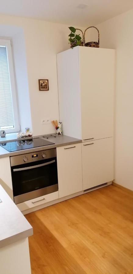 apartmán U Moravy Olomouc Exterior foto